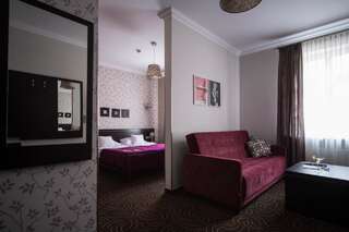 Отель Hotel Racibor Рацибуж Двухместный номер Делюкс с 1 кроватью-1