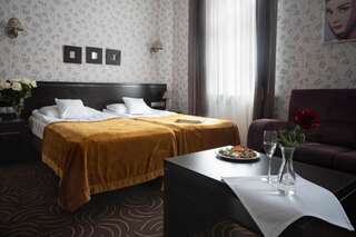 Отель Hotel Racibor Рацибуж Двухместный номер Делюкс с 1 кроватью-1